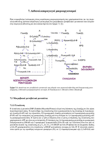 02_chapter_07.pdf.jpg