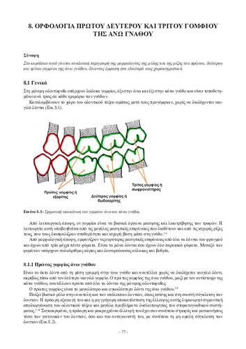 Kef. 8.pdf.jpg