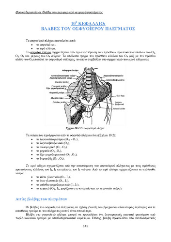 02_chapter_10.pdf.jpg