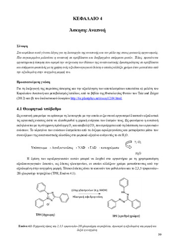 KEFALAIO 4 copy.pdf.jpg