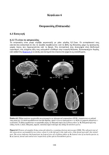 02_chapter_6.pdf.jpg